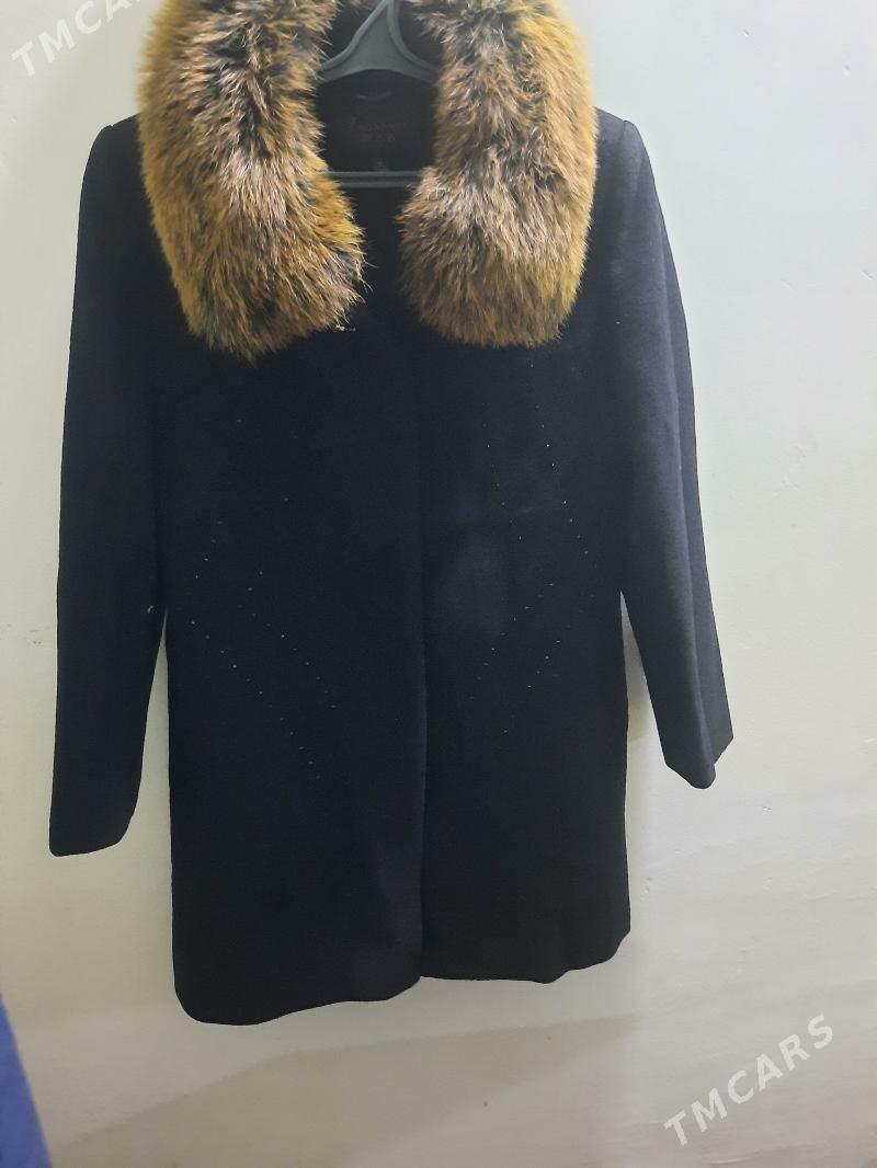 Palto - Daşoguz - img 2