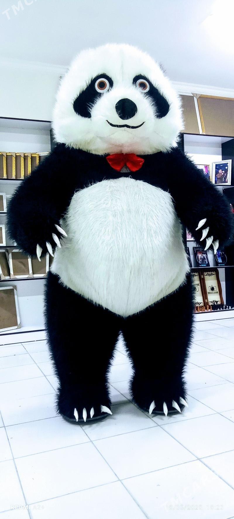 Misga MISKA SHOW LB - Garabekewül - img 2