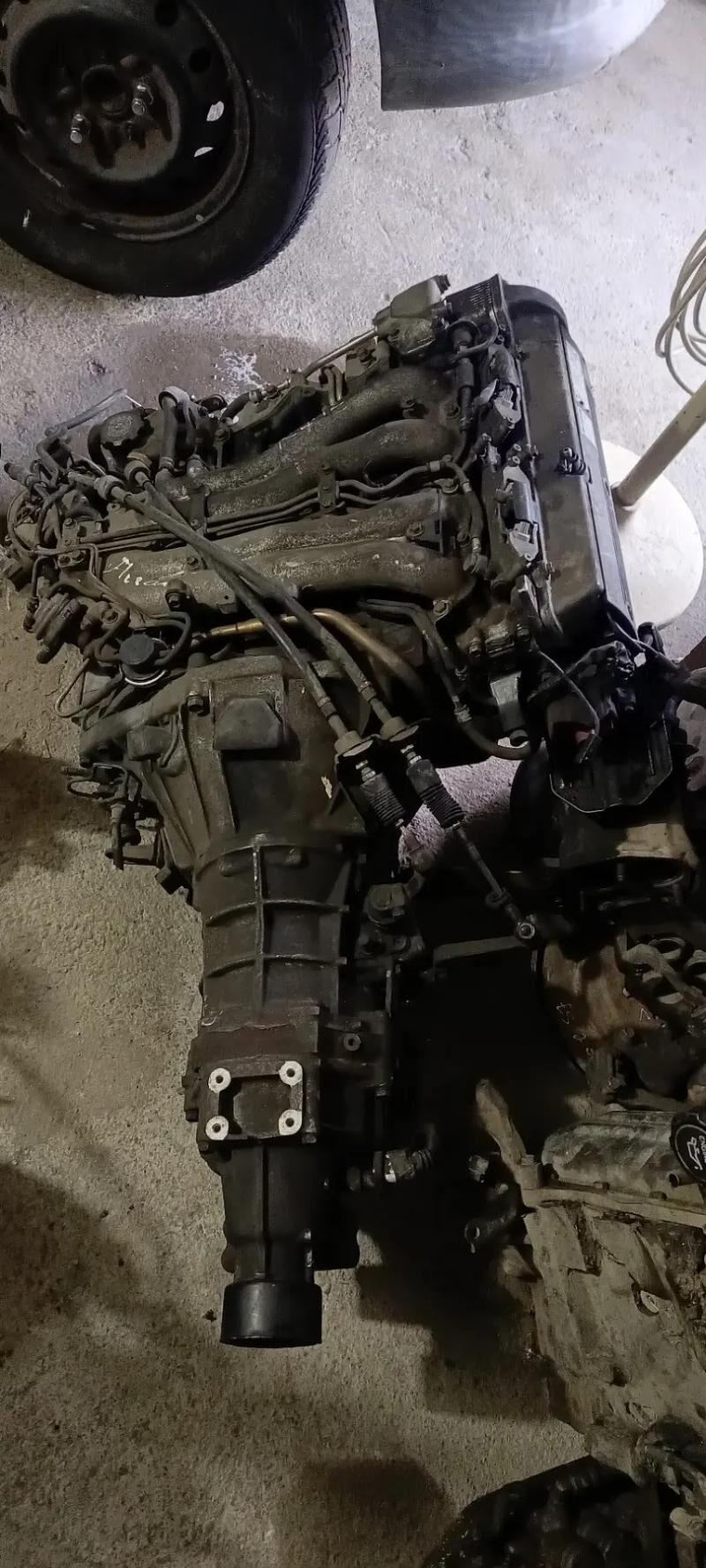 Mordo previa 100 TMT - Mary - img 3