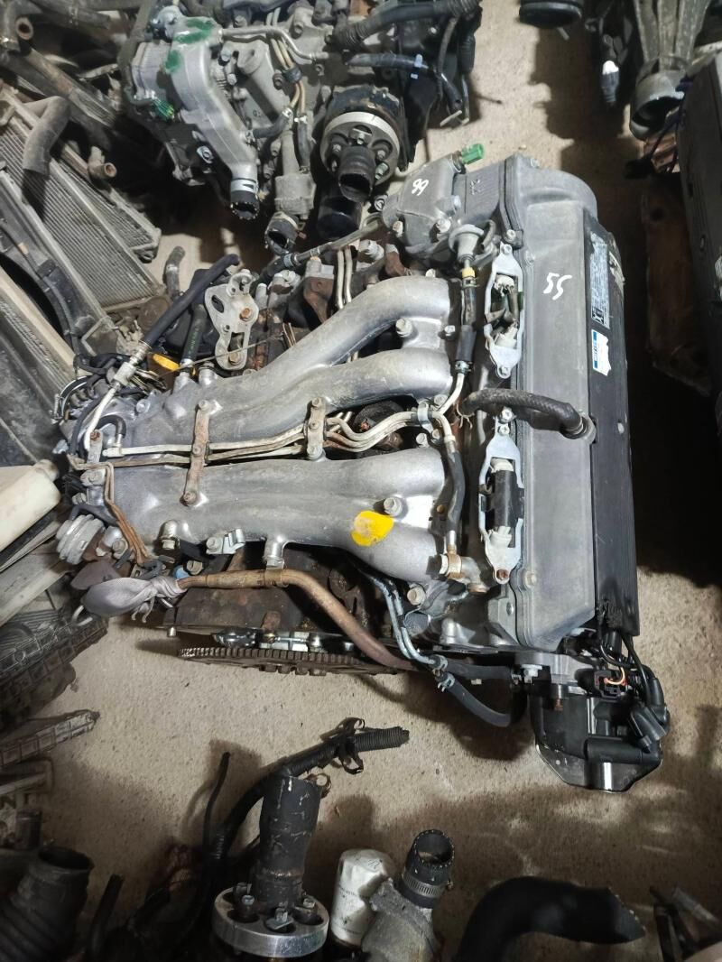 Mordo previa 100 TMT - Mary - img 5