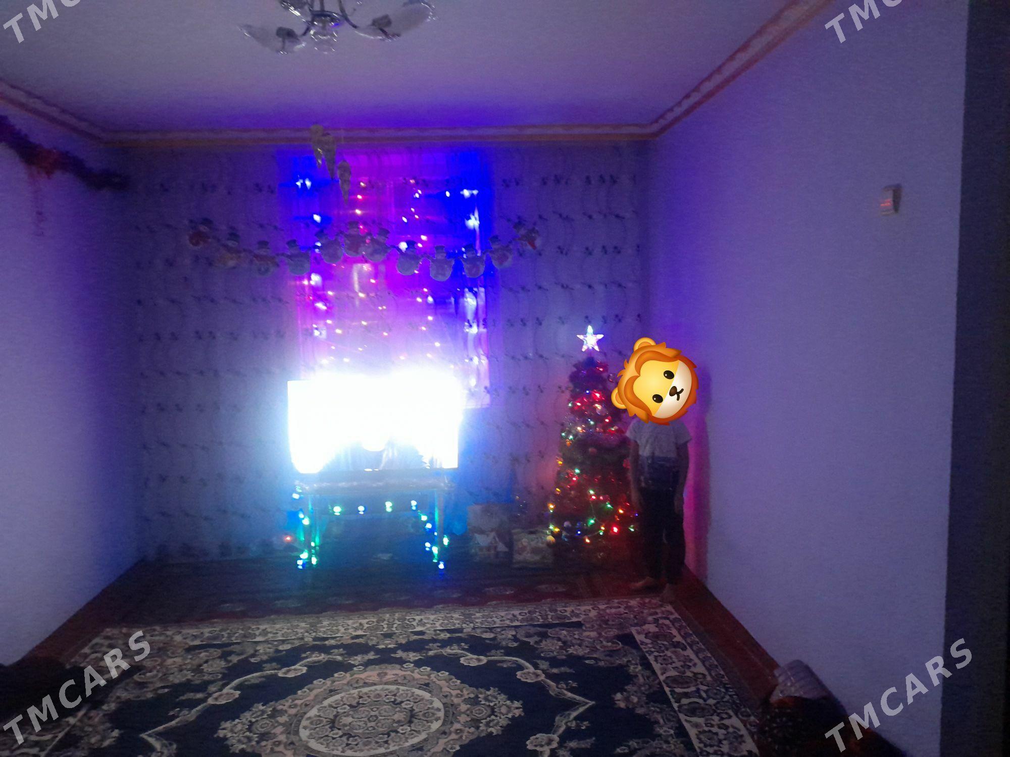 Taze yl yolkasy - Daşoguz - img 3