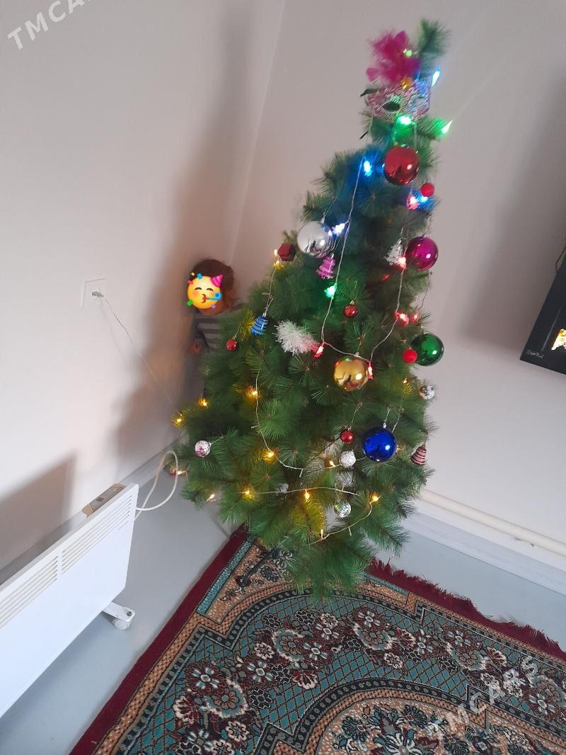 Taze yl yolkasy - Daşoguz - img 1