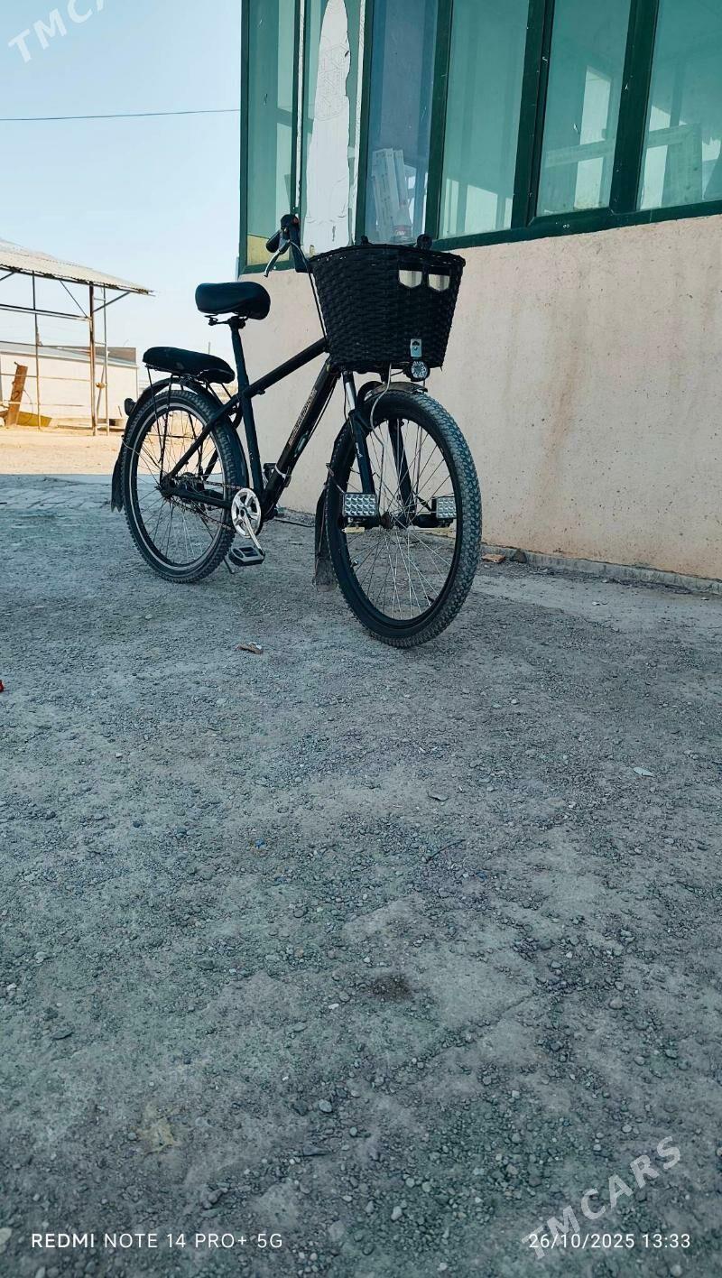 26welesoped - Каракумский этрап - img 2