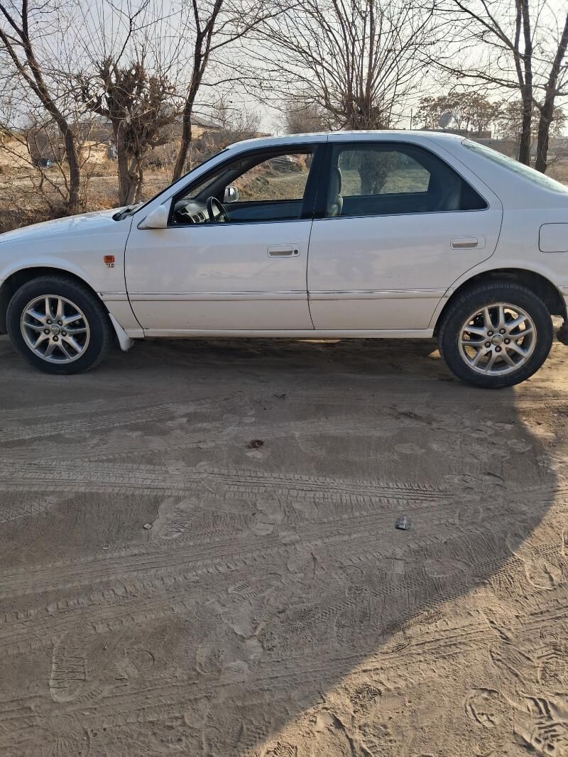 Grand diska babocka 7 000 TMT - Akdepe - img 2