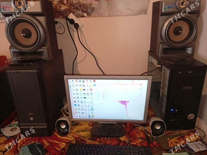 damashny kampitor - Köýtendag - img 4