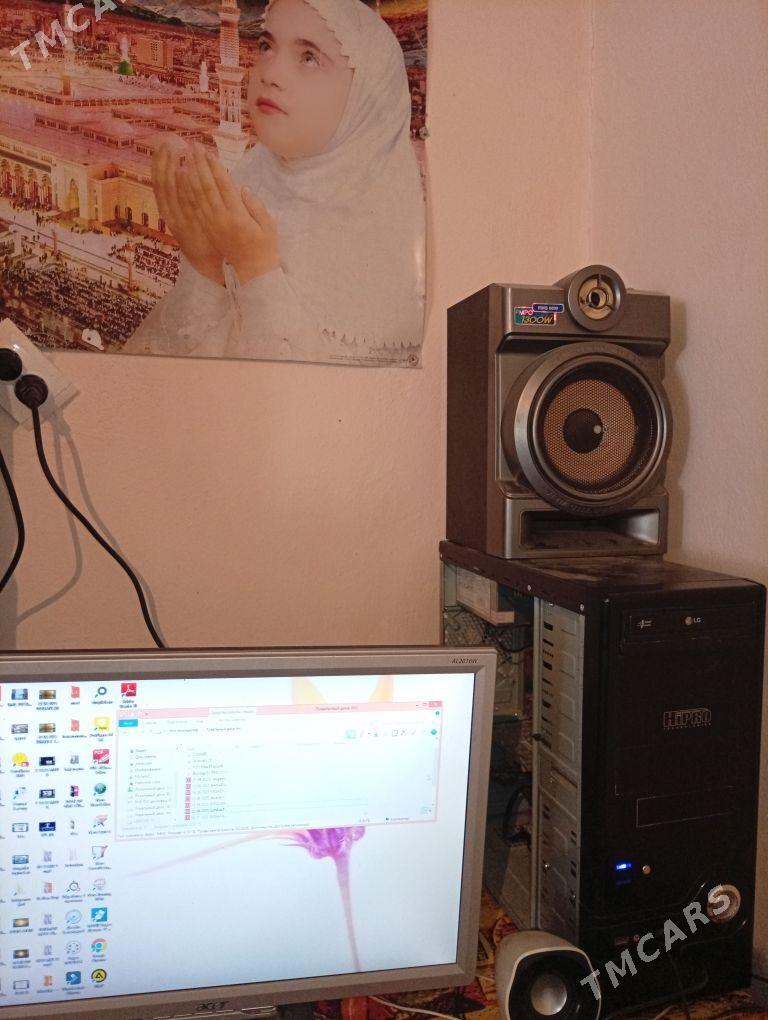 damashny kampitor - Köýtendag - img 2