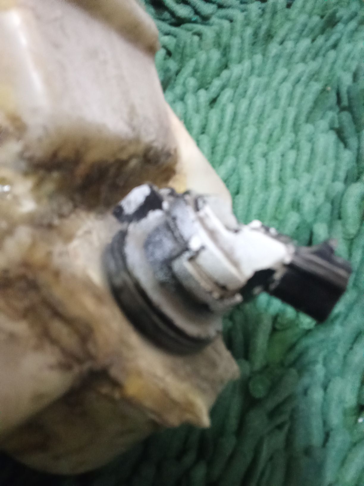 datcik okuz palta aziyadakemri 30 TMT - Ашхабад - img 1