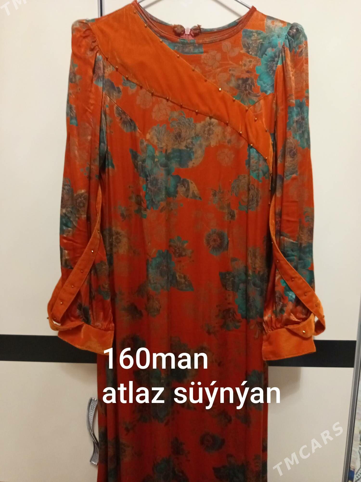 koynekler - Sakarçäge - img 9