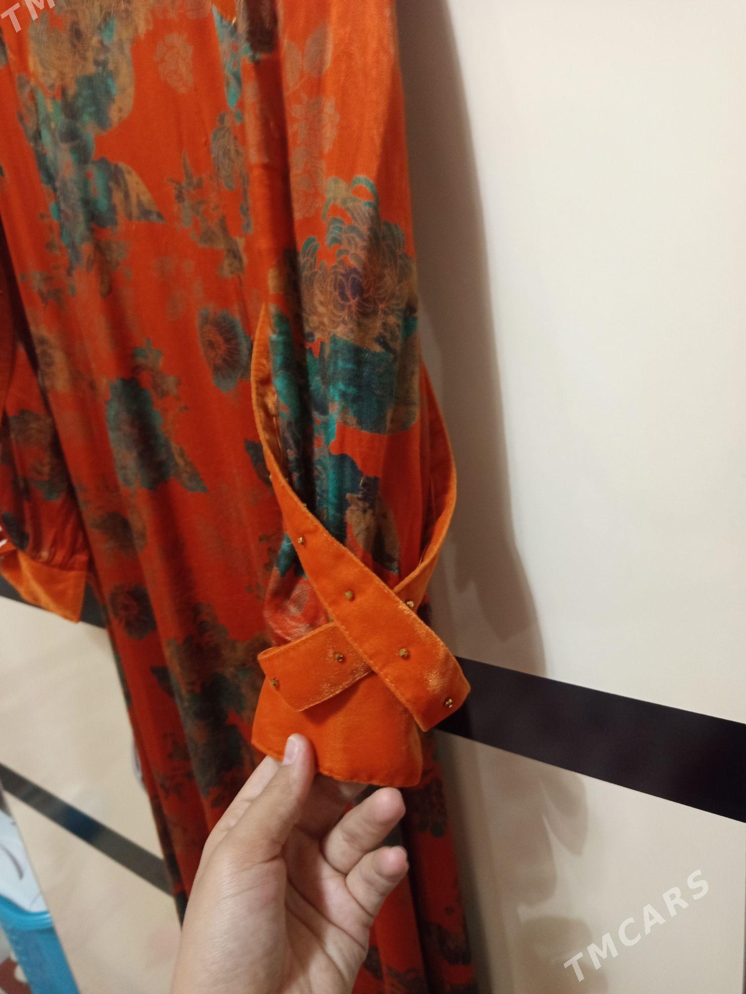 koynekler - Sakarçäge - img 10