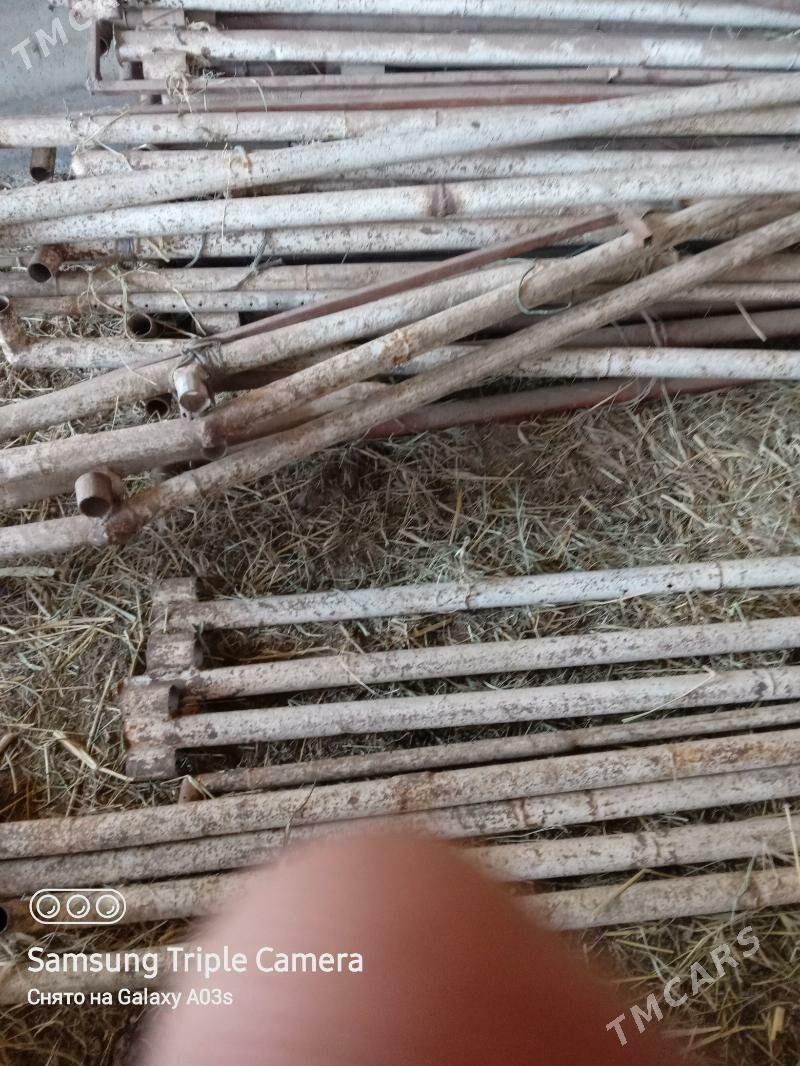 палата - Mary - img 2