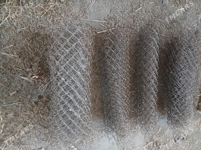 setga - Daşoguz - img 2