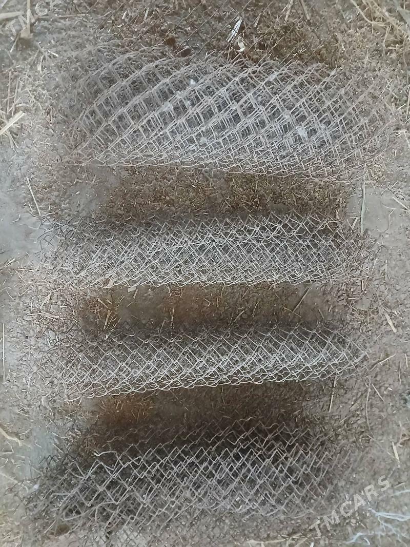 setga - Daşoguz - img 1