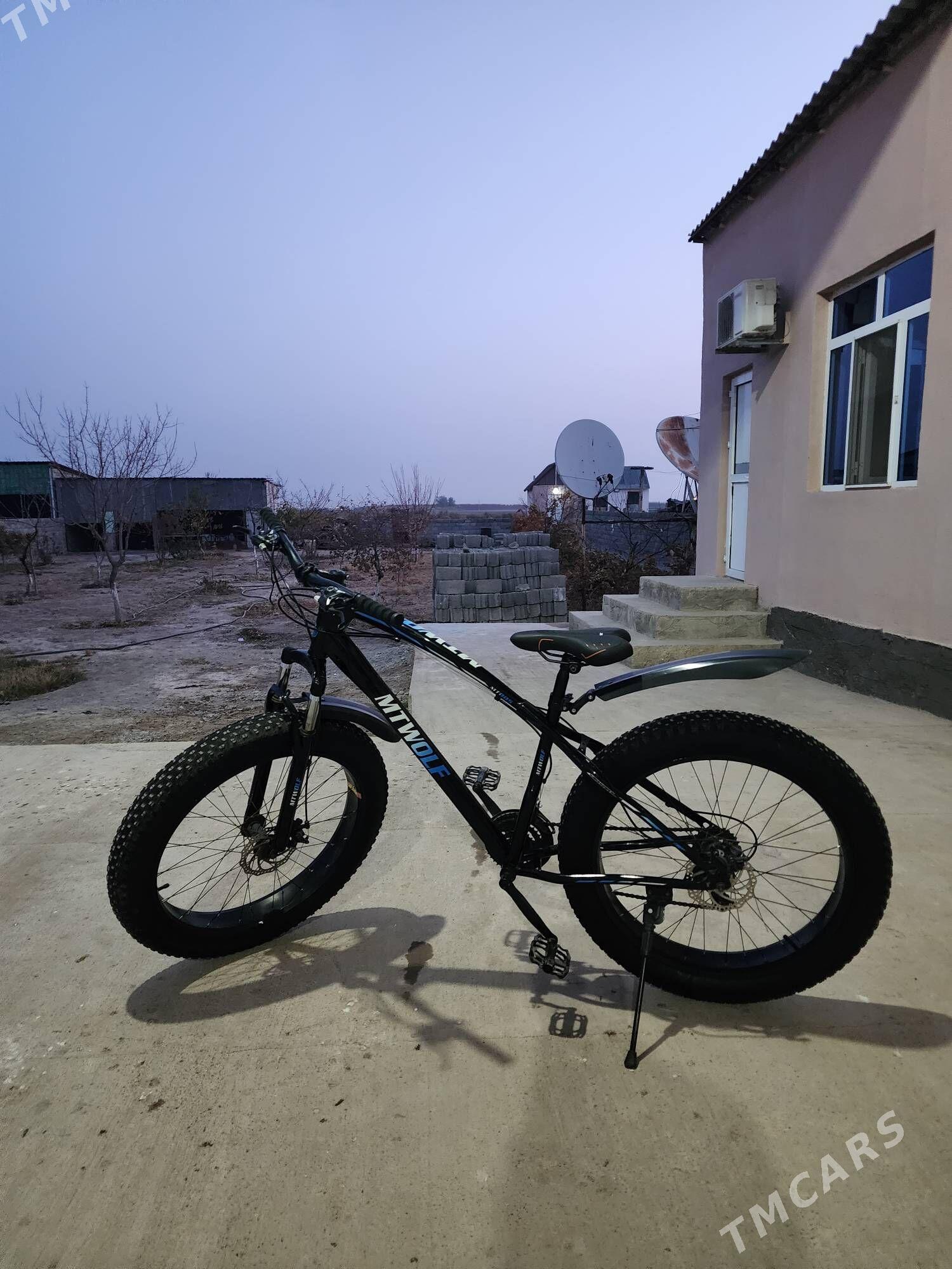 Tigir 26 lyk yogyn - Herrikgala - img 1