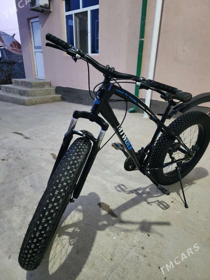 Tigir 26 lyk yogyn - Herrikgala - img 3