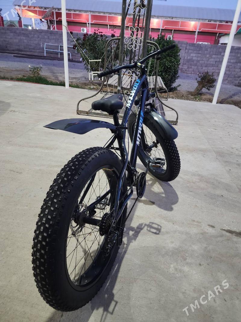 Tigir 26 lyk yogyn - Herrikgala - img 2