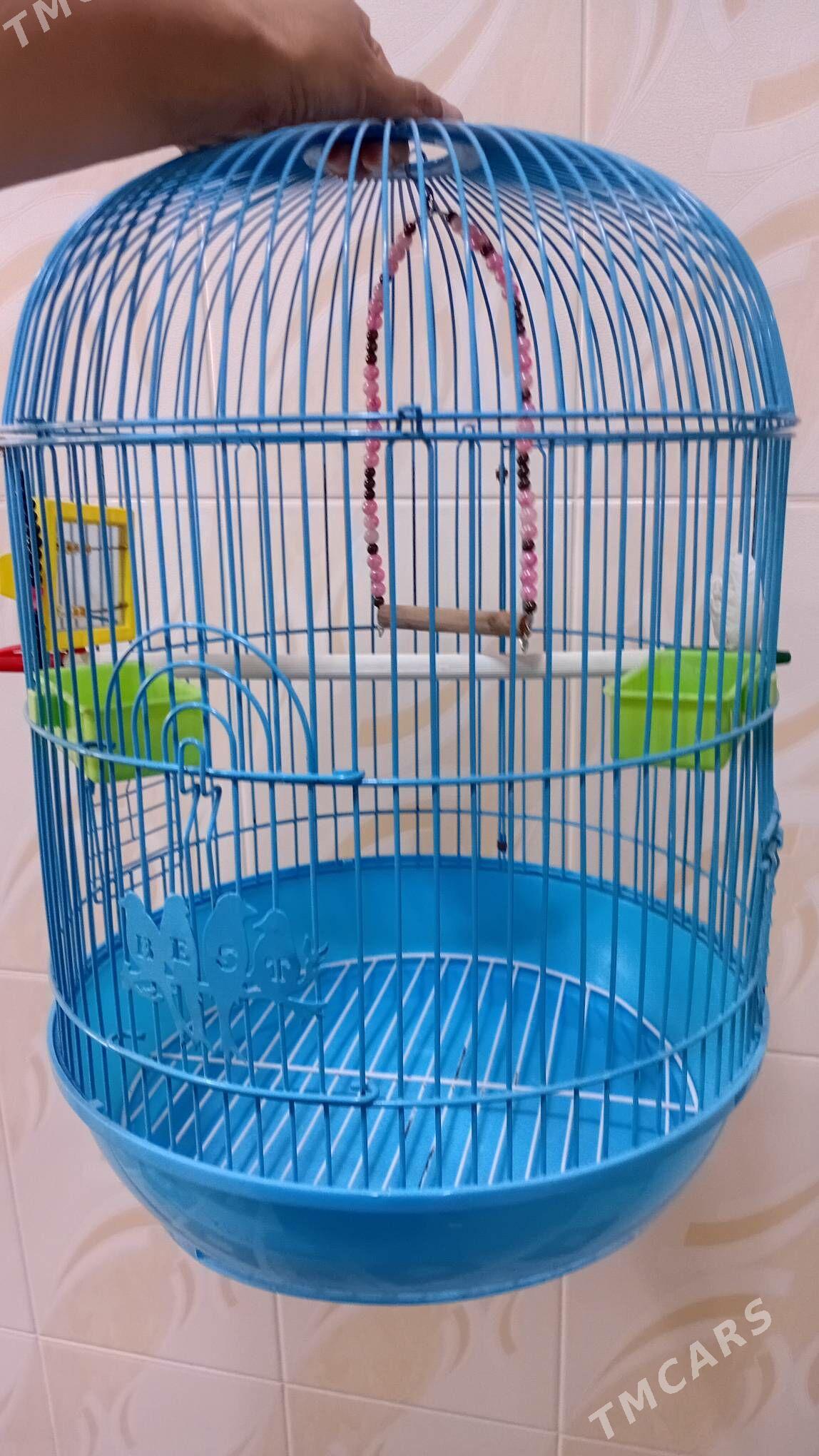 клетка для попугая - Türkmenabat - img 2