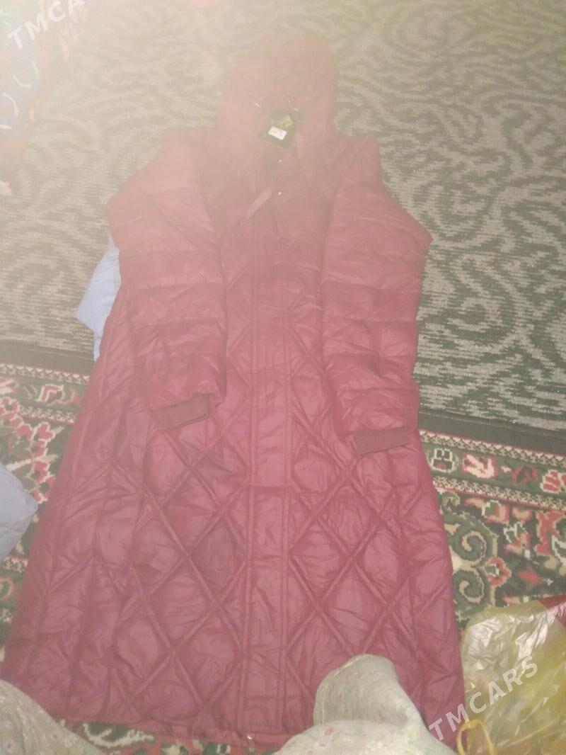 kurtkalar - Daşoguz - img 3