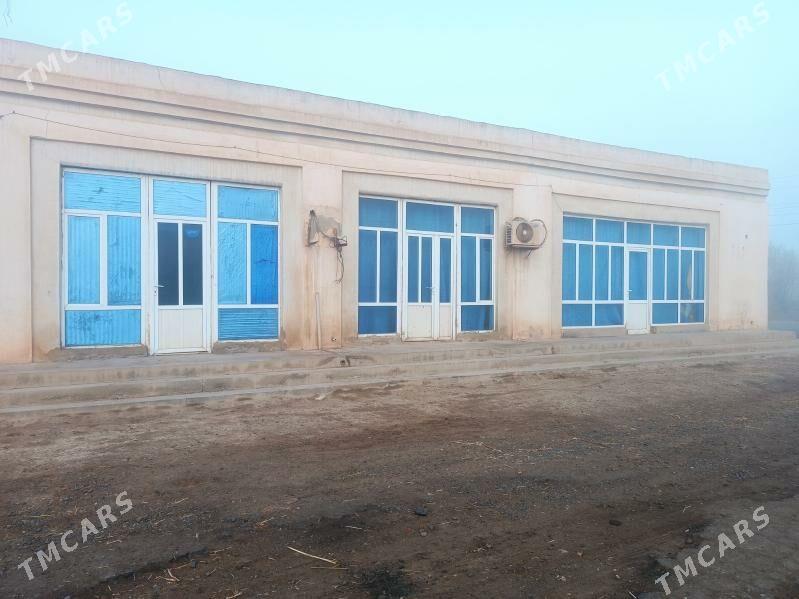 sowda dukany - Гарабекевюл - img 8