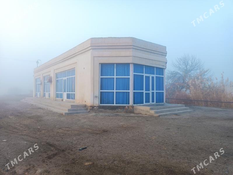 sowda dukany - Гарабекевюл - img 9