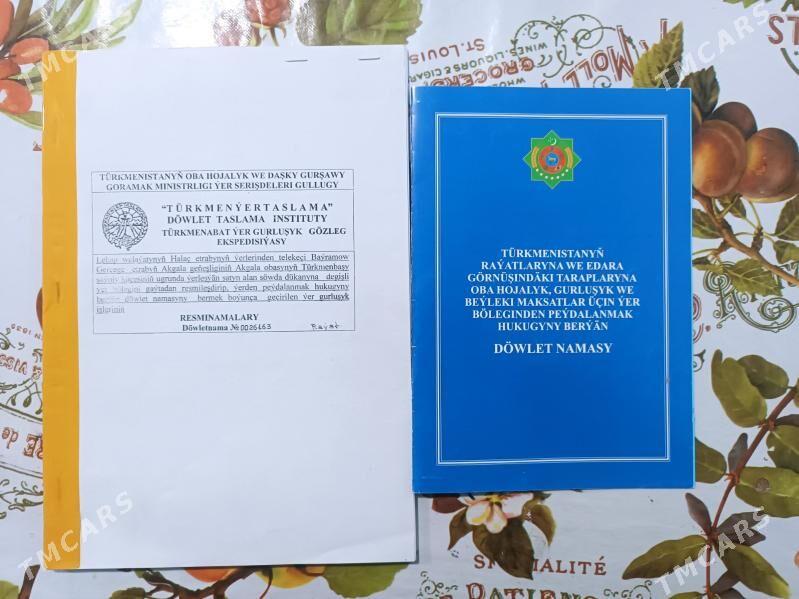 sowda dukany - Гарабекевюл - img 1