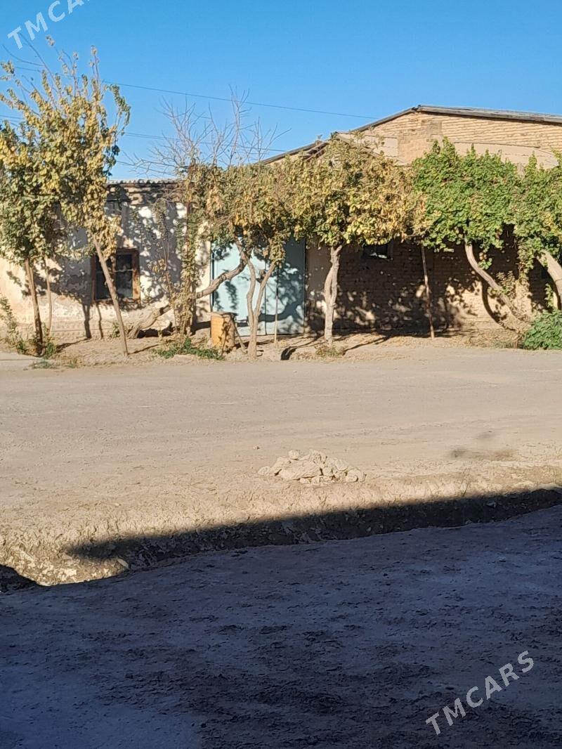 5комнат пес джай гыссаглы - Туркменабат - img 7