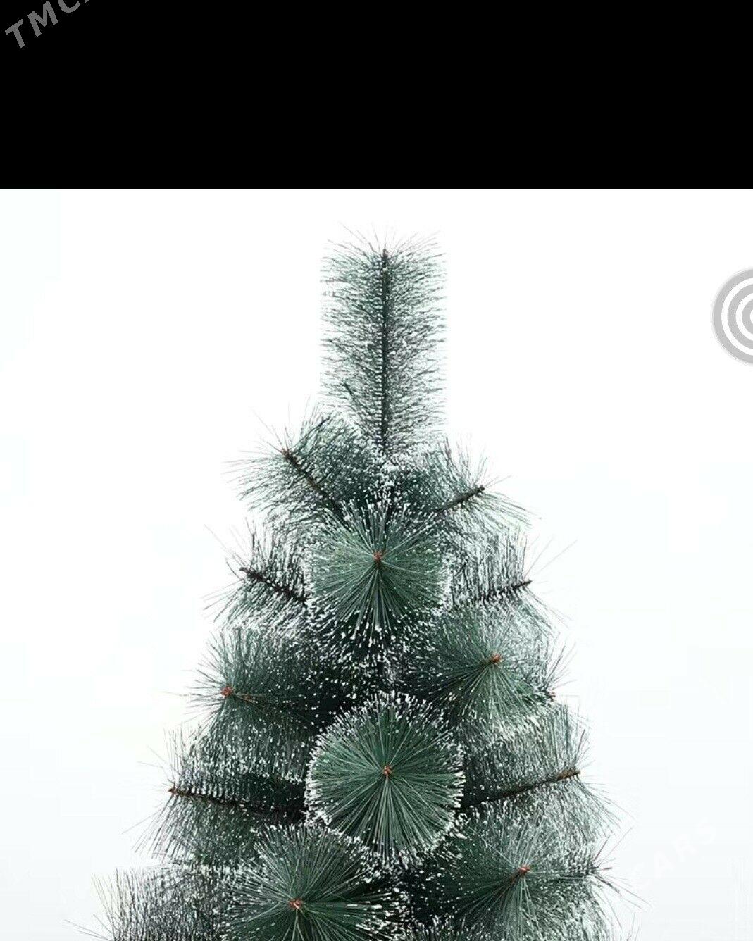 Yolka/Archa - Ашхабад - img 5