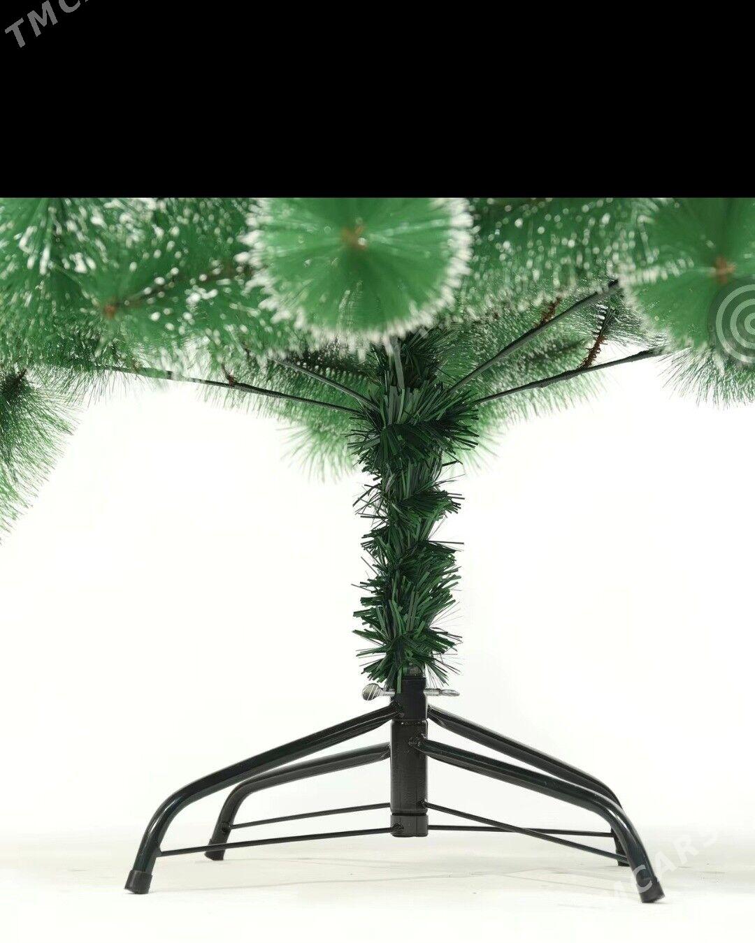 Yolka/Archa - Ашхабад - img 4