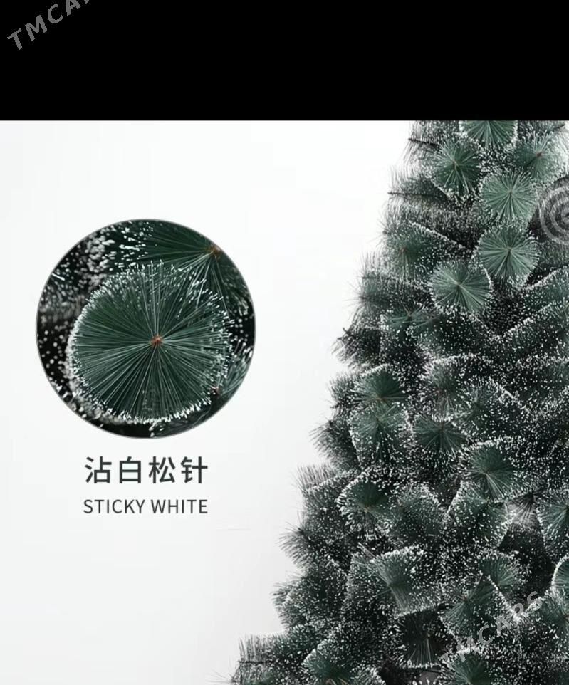 Yolka/Archa - Ашхабад - img 2