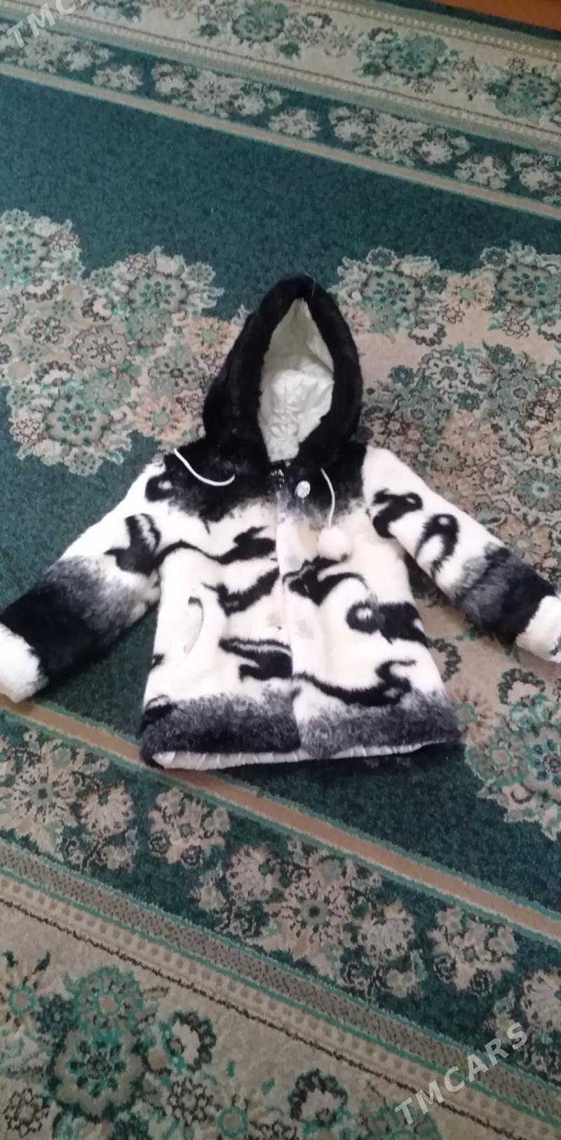 Çaga şuba - Balkanabat - img 1