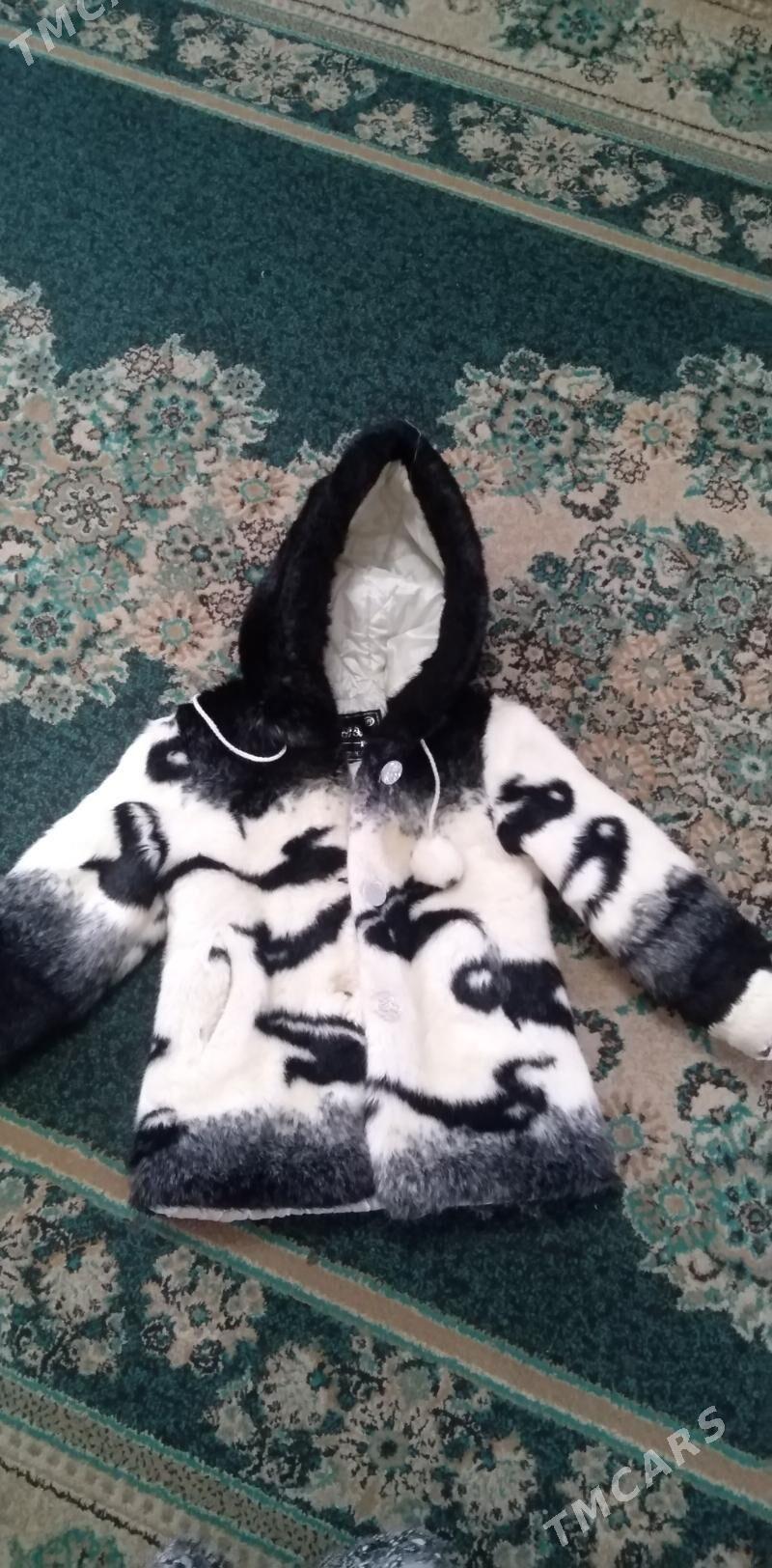 Çaga şuba - Balkanabat - img 2