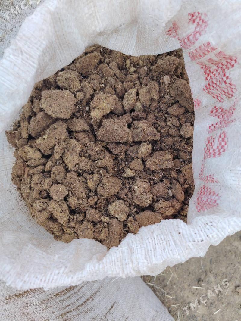 Sary un - Bäherden - img 2