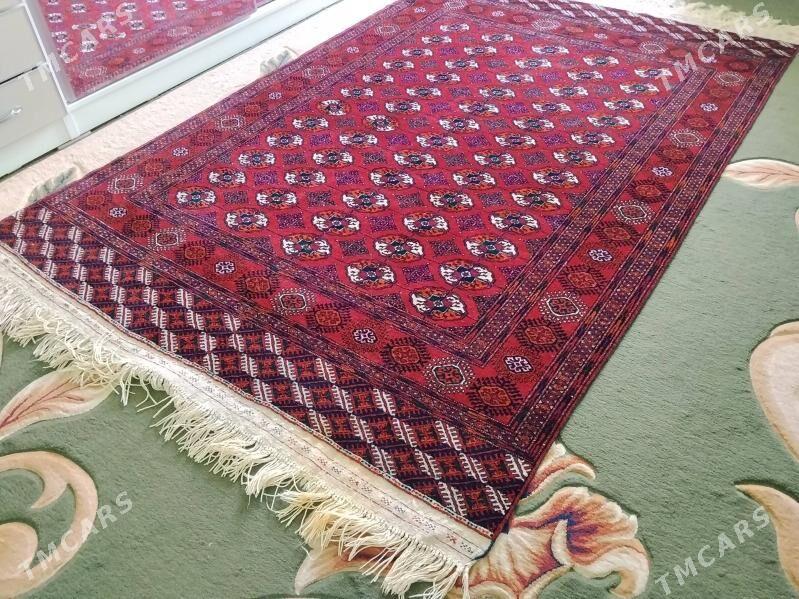 El Haly - Köşi - img 2