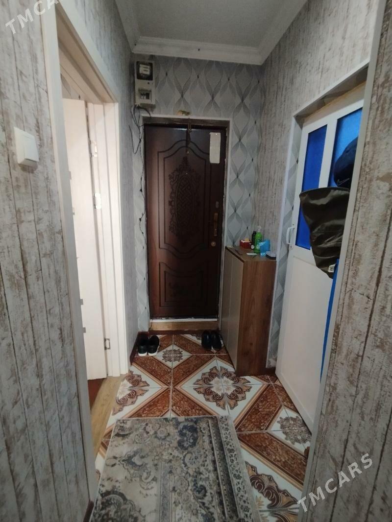 Satlyk jay - Мары - img 3