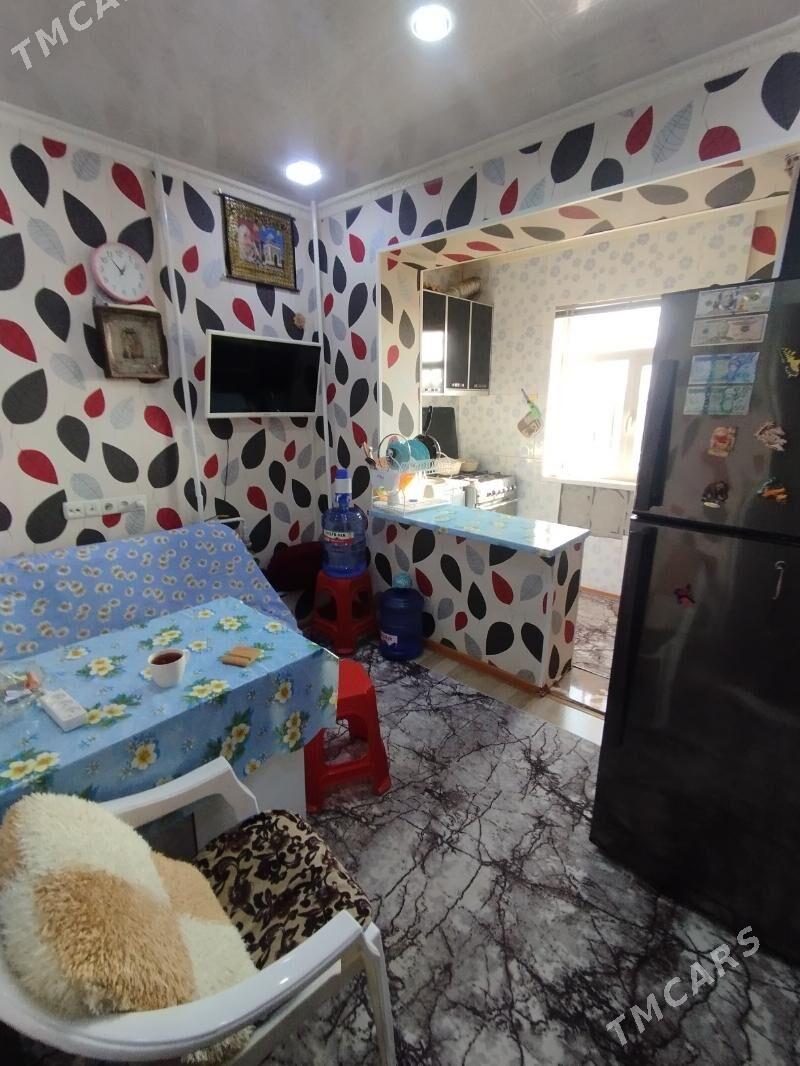 Satlyk jay - Мары - img 2