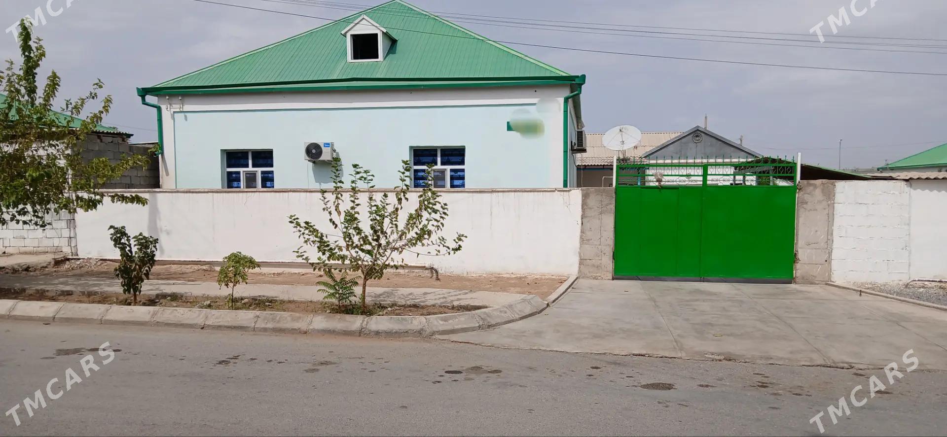 SATLYK JAŶ ANEW PLAN - Анев - img 1