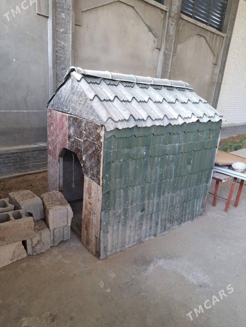 It.yatak. - Ашхабад - img 3