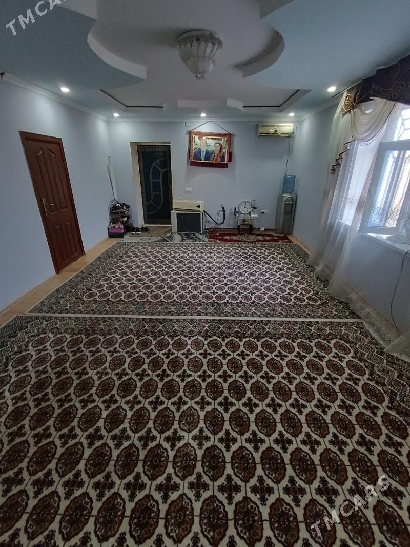 Satlyk jay - Mary - img 3