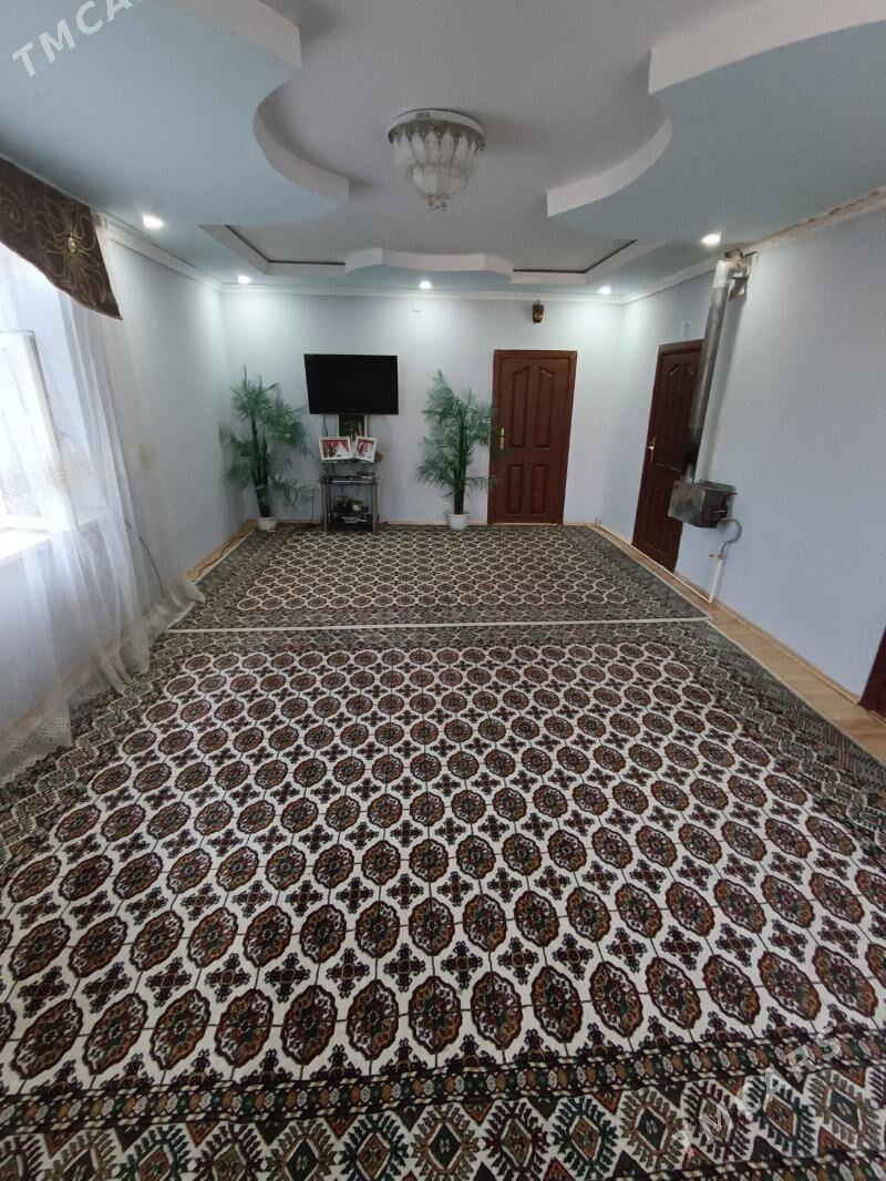 Satlyk jay - Mary - img 2