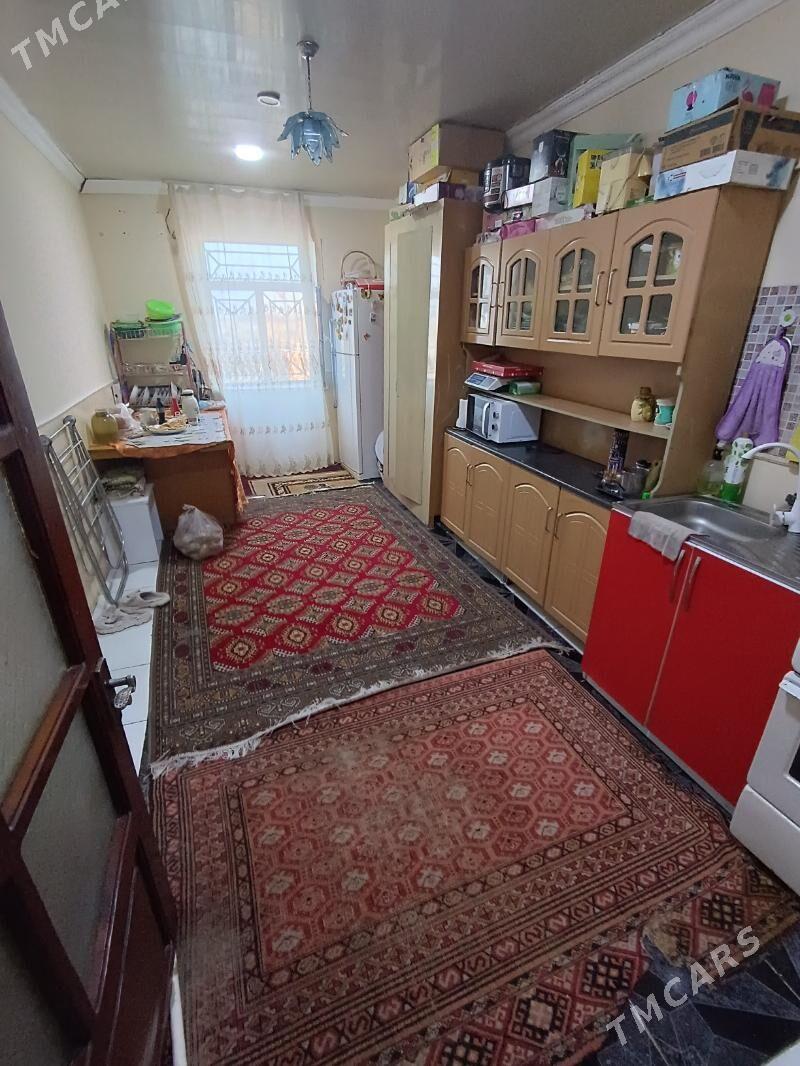 Satlyk jay - Mary - img 7