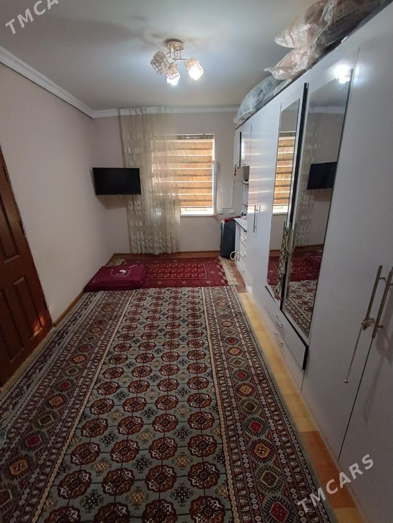 Satlyk jay - Mary - img 5