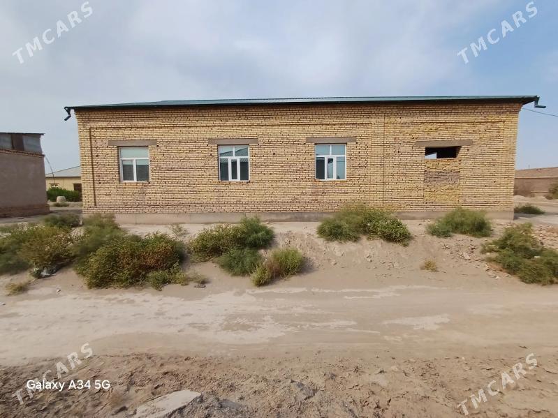 Gulustan jay - Daşoguz - img 1