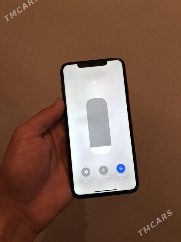 iPhone Xs Max - Mary - img 6