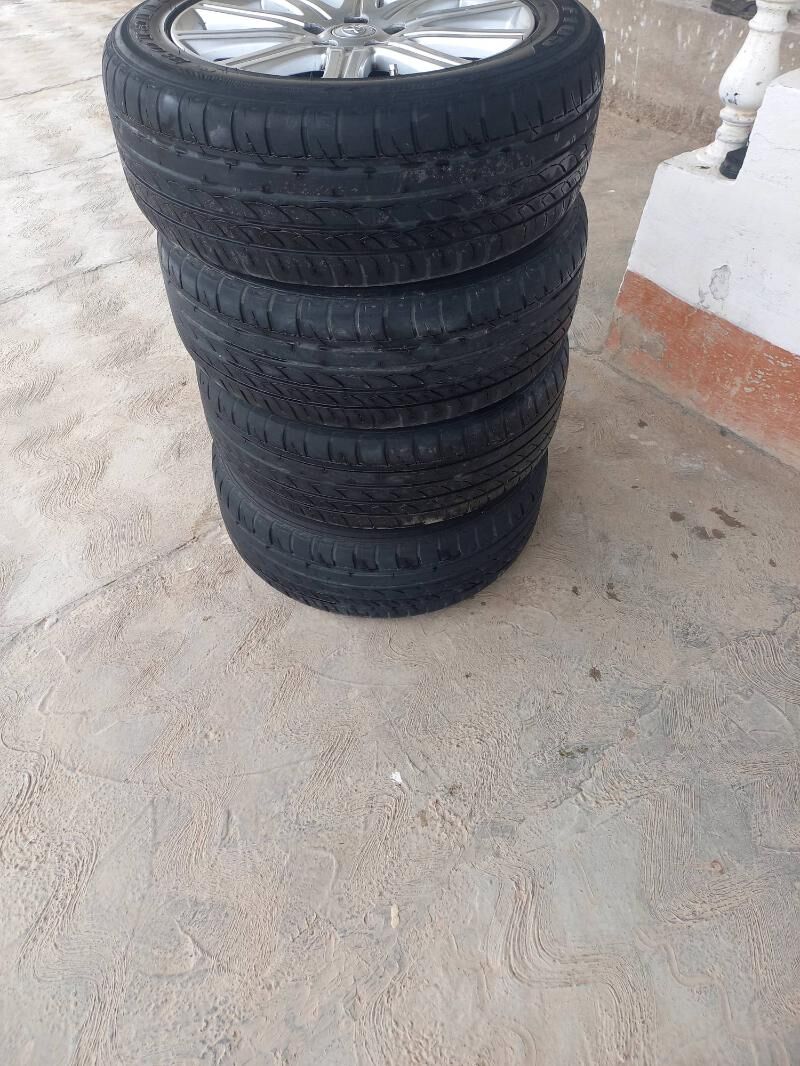 17lik tigir 1 600 TMT - Sakarçäge - img 2