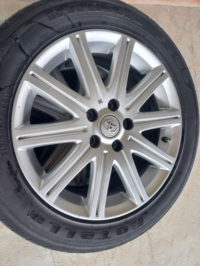 17lik tigir 1 600 TMT - Sakarçäge - img 3