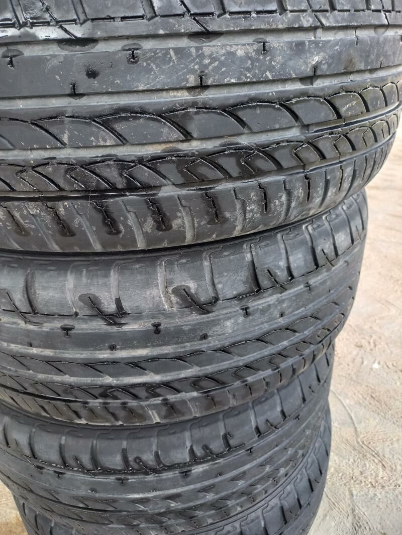 17lik tigir 1 600 TMT - Sakarçäge - img 5