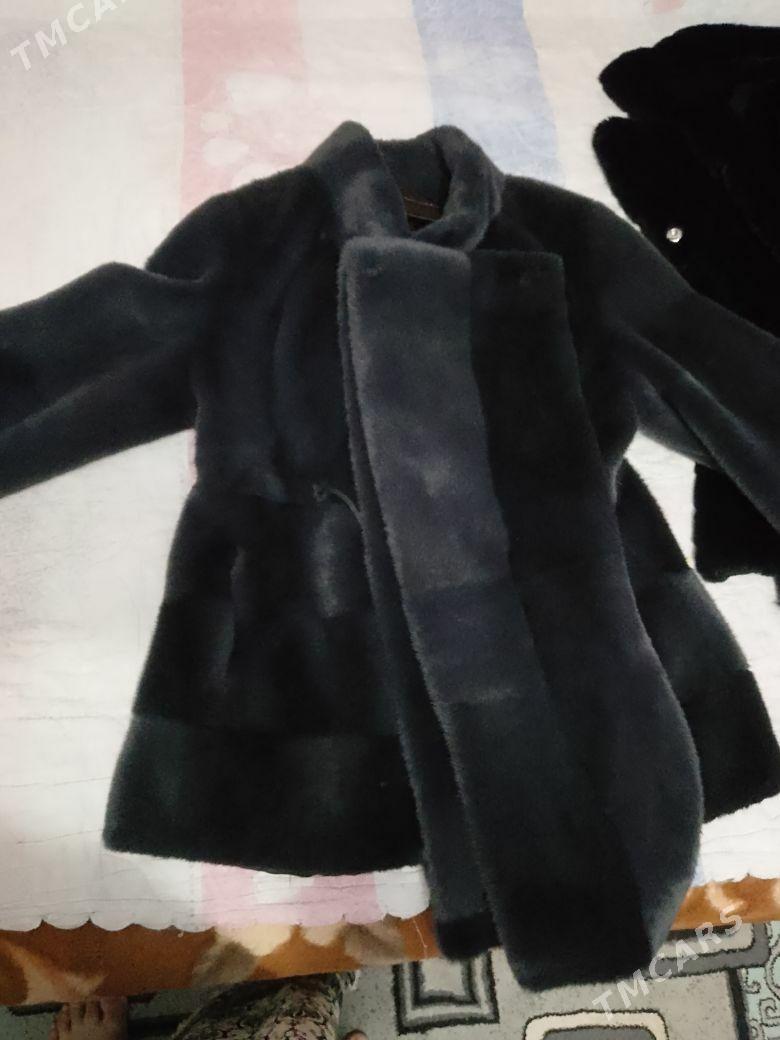 Şuba - Дашогуз - img 2