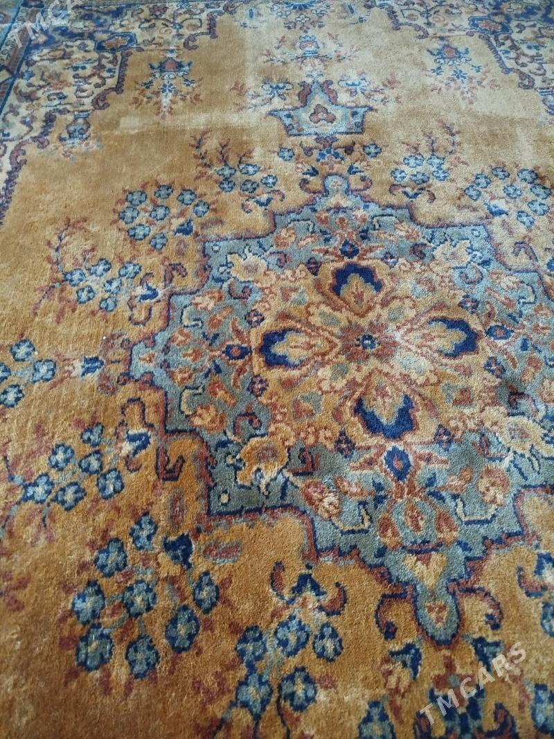 Вьетнам халы гадымы - Murgap - img 2