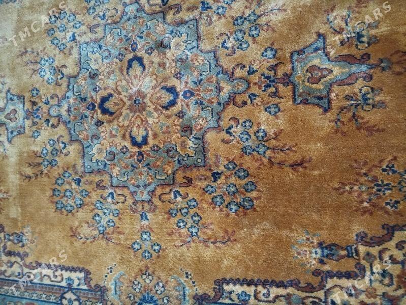 Вьетнам халы гадымы - Murgap - img 1