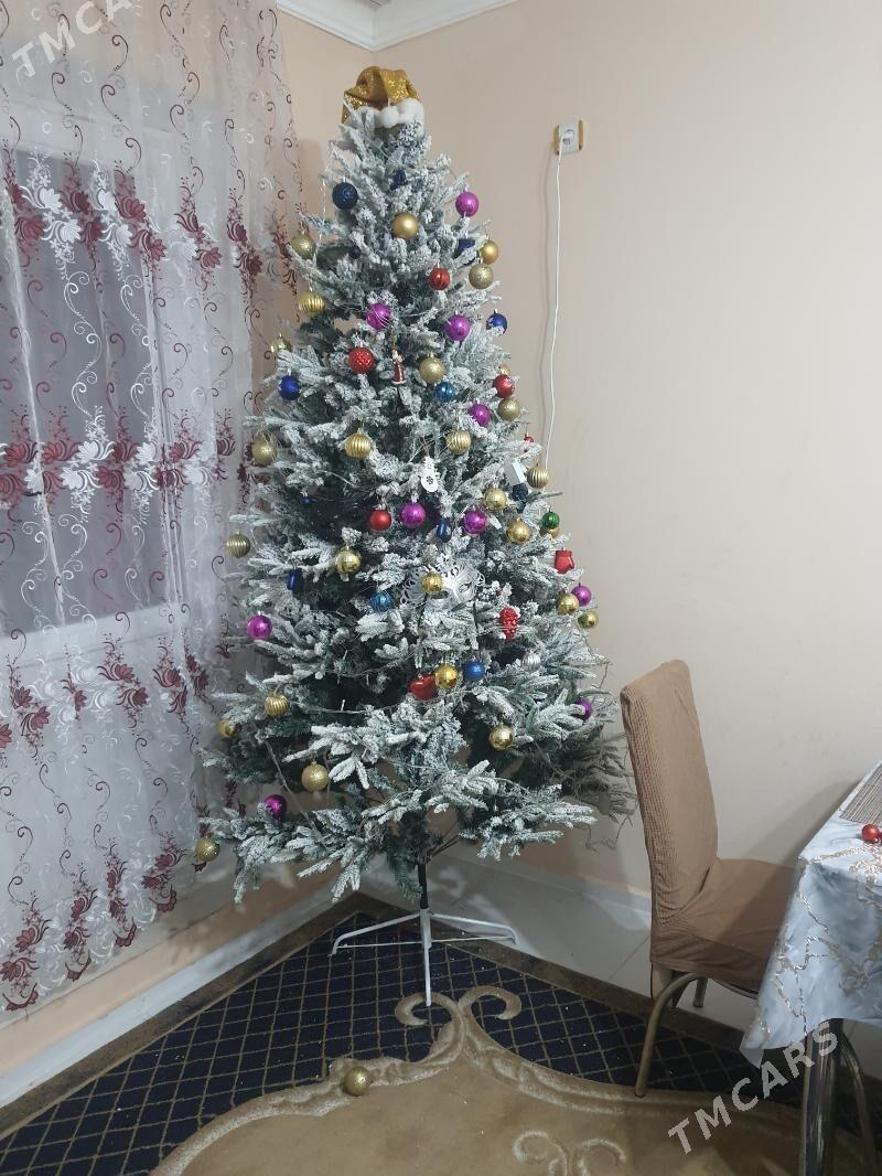 Елка - Büzmeýin GRES - img 2