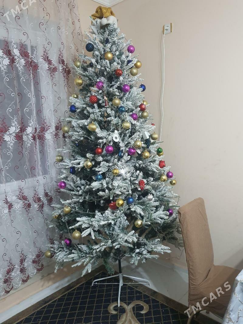 Елка - Büzmeýin GRES - img 1